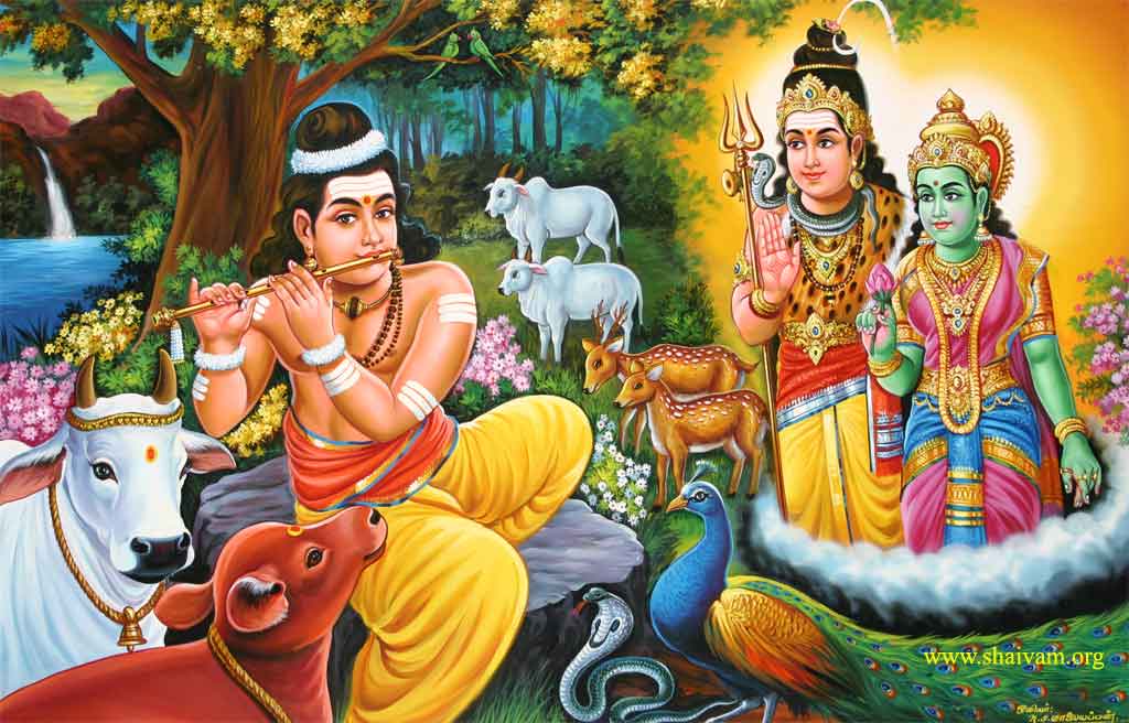 Aanaya Nayanaar