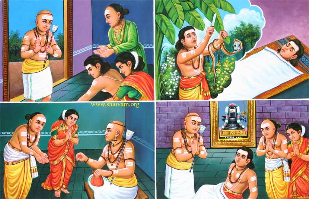 Apoothi Adigal